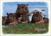 Stamp ID#182956 (1-230-1549)