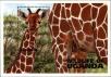 Stamp ID#182011 (1-230-604)