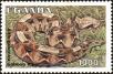 Stamp ID#182384 (1-230-977)