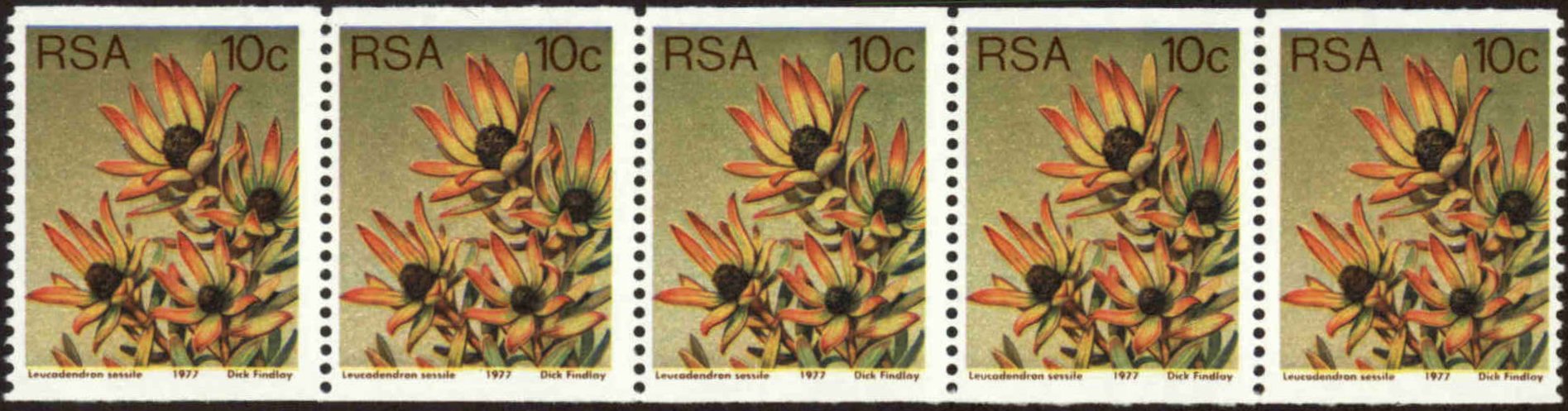 Front view of South Africa 495 collectors stamp