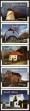 Stamp ID#184306 (1-231-1181)