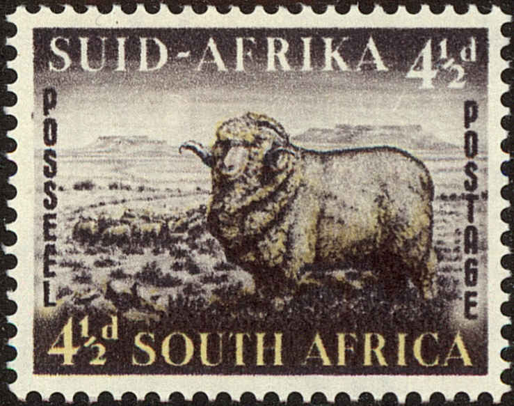 Front view of South Africa 195 collectors stamp