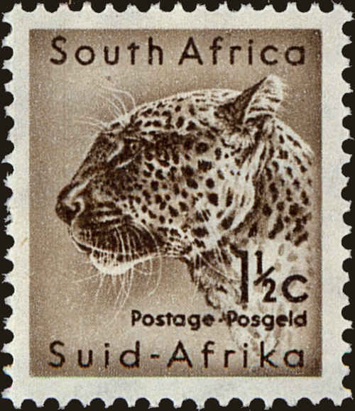 Front view of South Africa 243 collectors stamp