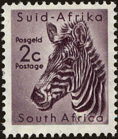 Front view of South Africa 244 collectors stamp