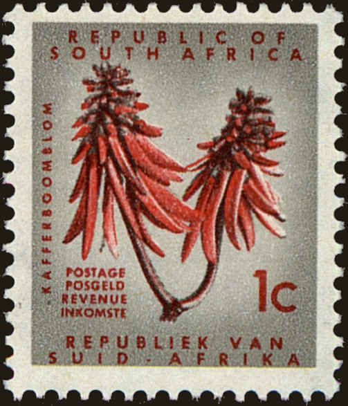 Front view of South Africa 255 collectors stamp