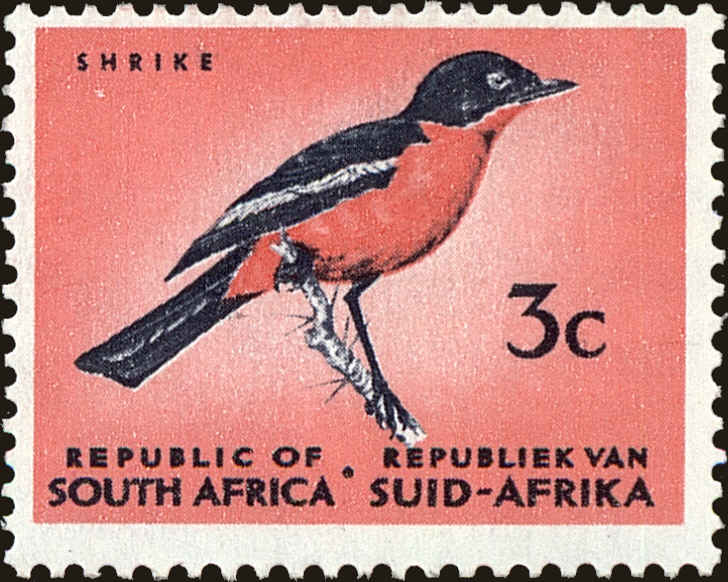 Front view of South Africa 272 collectors stamp