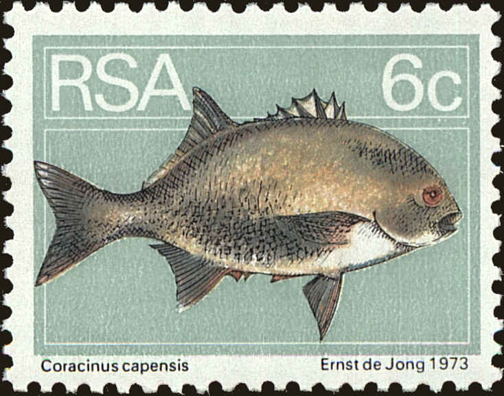 Front view of South Africa 413 collectors stamp