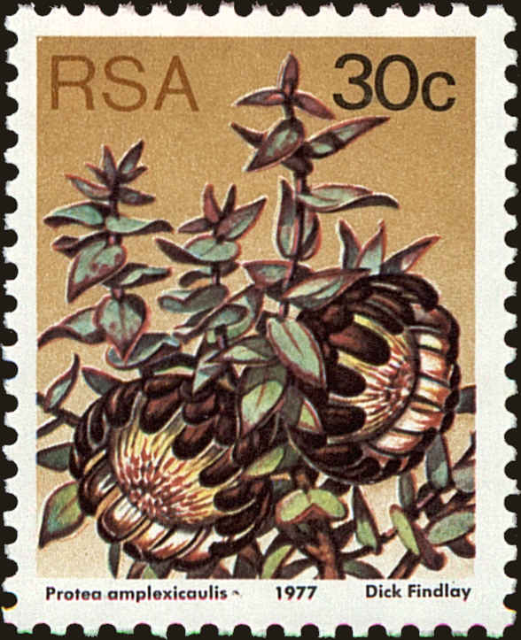 Front view of South Africa 488 collectors stamp