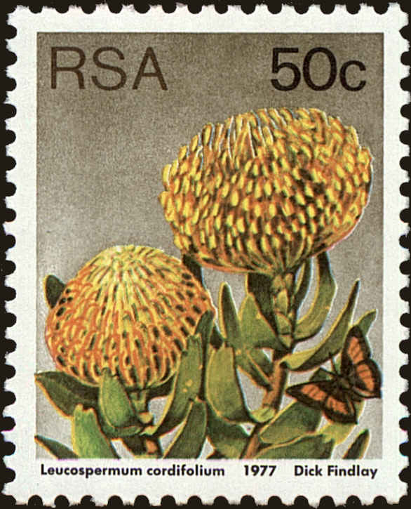 Front view of South Africa 489 collectors stamp