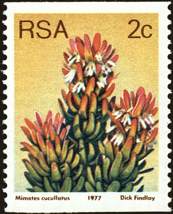 Front view of South Africa 493 collectors stamp
