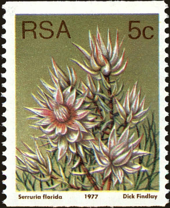 Front view of South Africa 494 collectors stamp