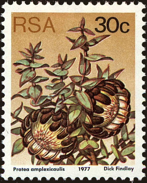 Front view of South Africa 488a collectors stamp