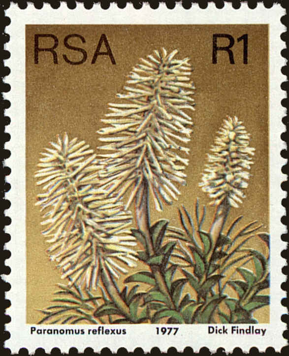 Front view of South Africa 490a collectors stamp