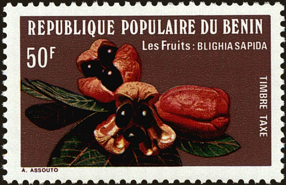 Front view of Benin J47 collectors stamp