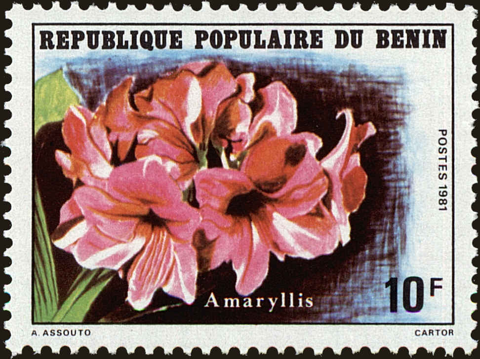 Front view of Benin 506 collectors stamp