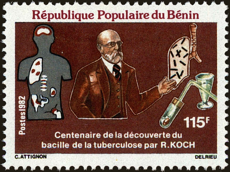 Front view of Benin 517 collectors stamp