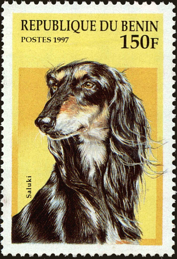 Front view of Benin 981 collectors stamp