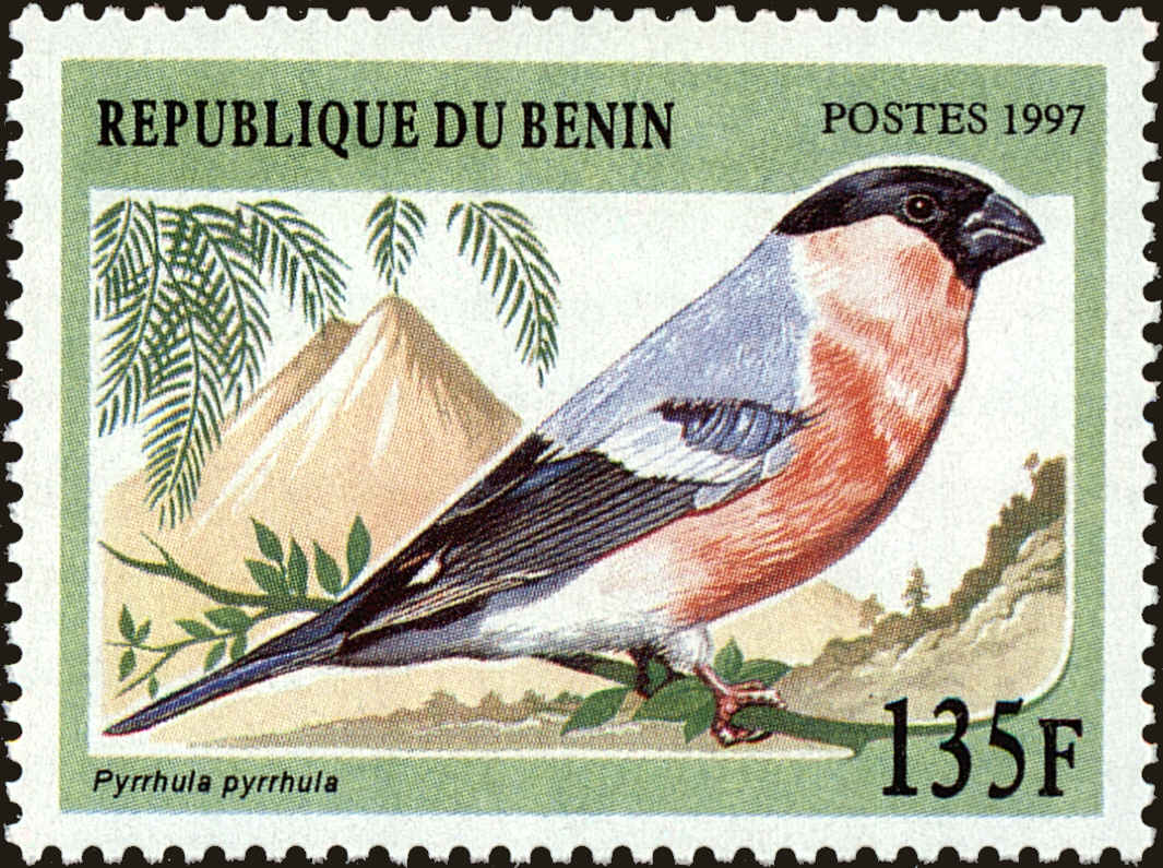 Front view of Benin 994 collectors stamp