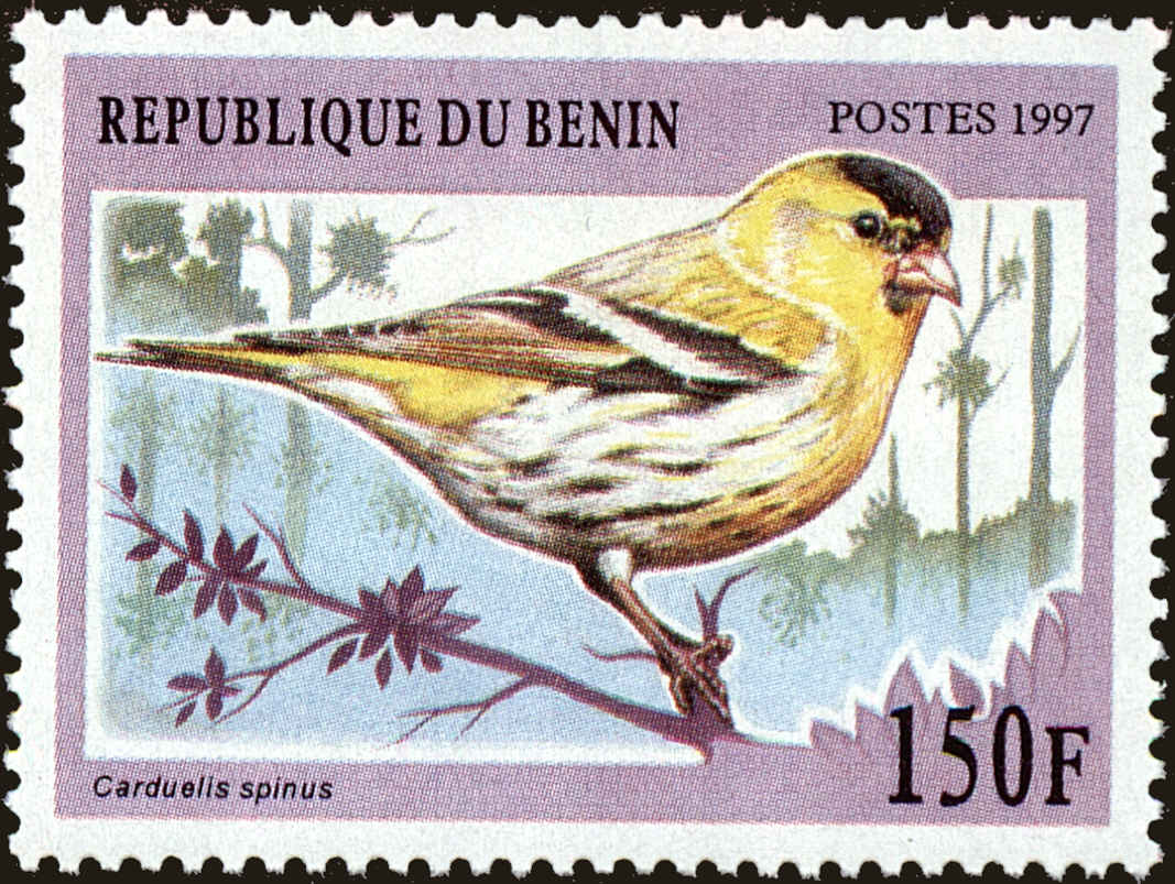 Front view of Benin 995 collectors stamp