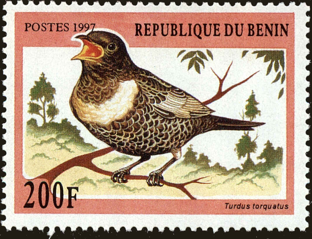 Front view of Benin 996 collectors stamp