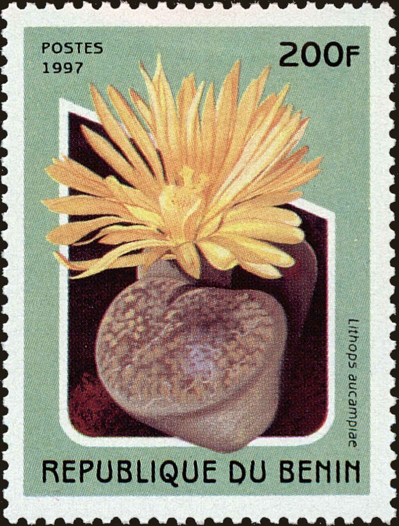 Front view of Benin 1003 collectors stamp