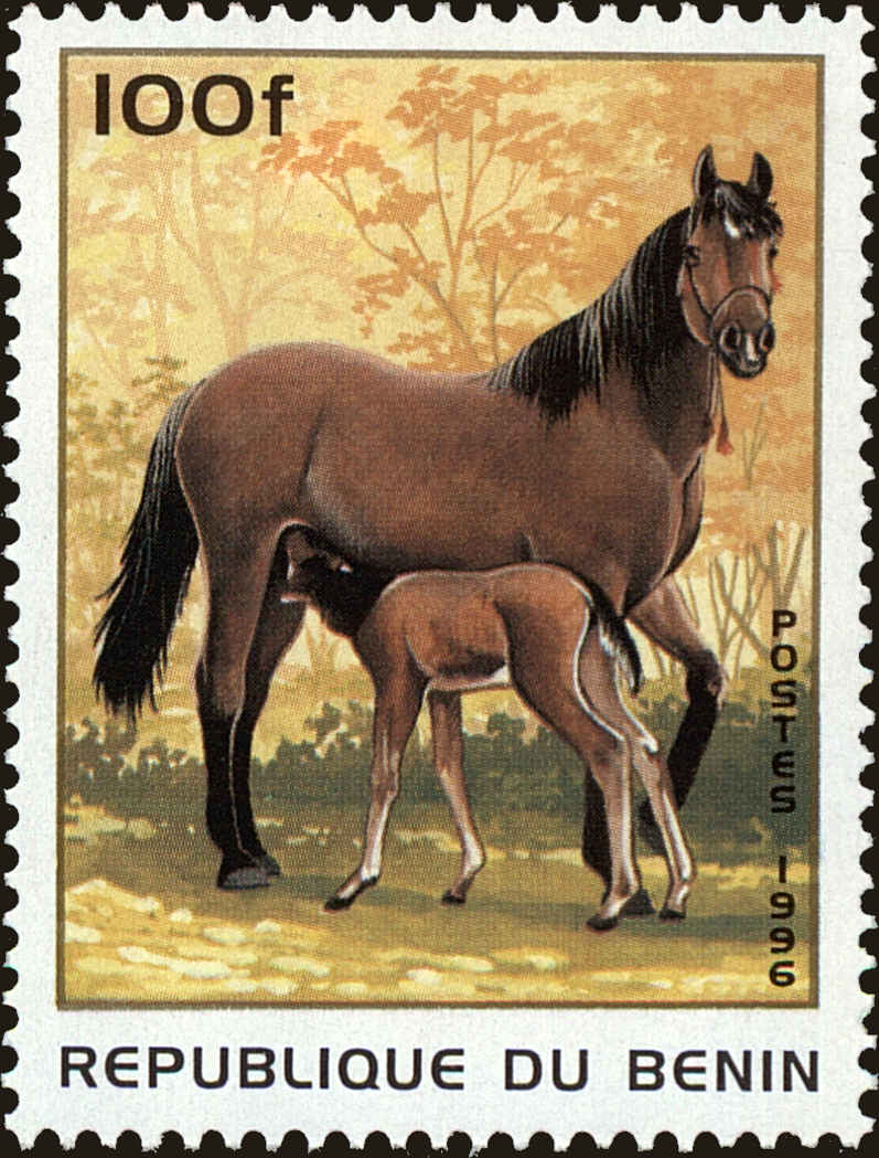 Front view of Benin 868 collectors stamp