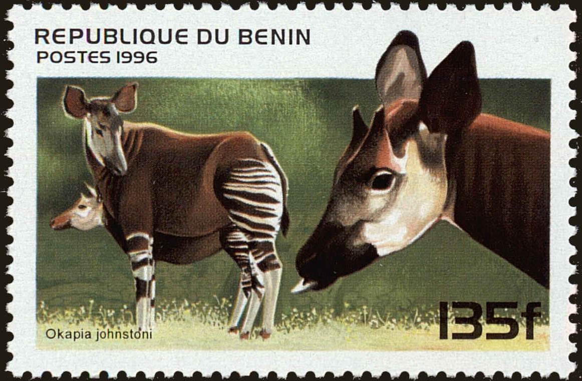 Front view of Benin 934 collectors stamp