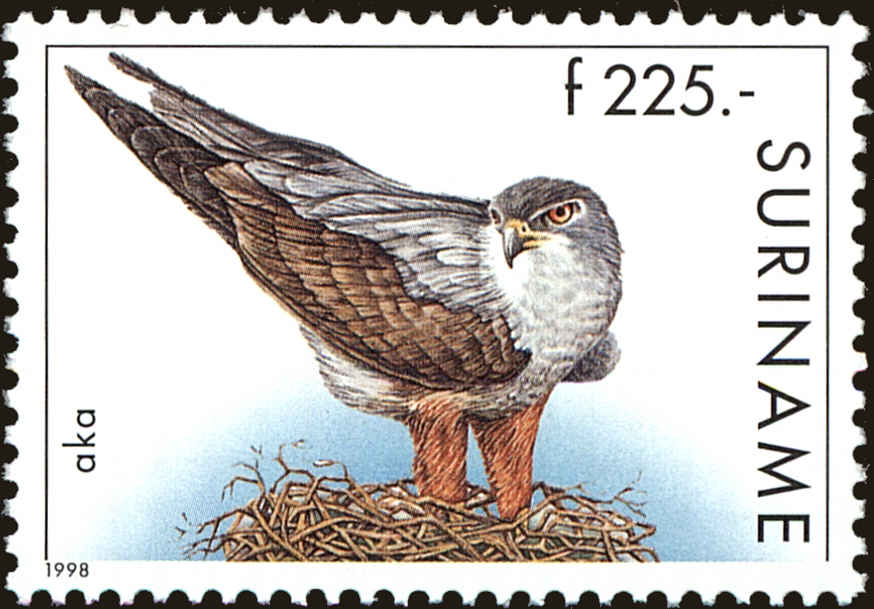 Front view of Surinam 1137 collectors stamp