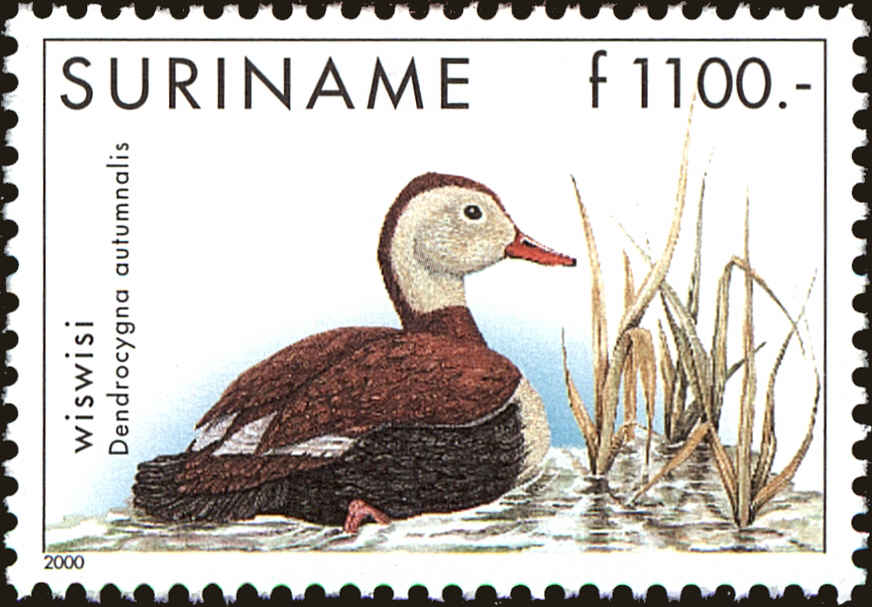 Front view of Surinam 1220 collectors stamp