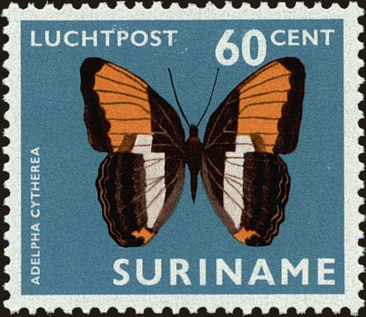 Front view of Surinam C51 collectors stamp