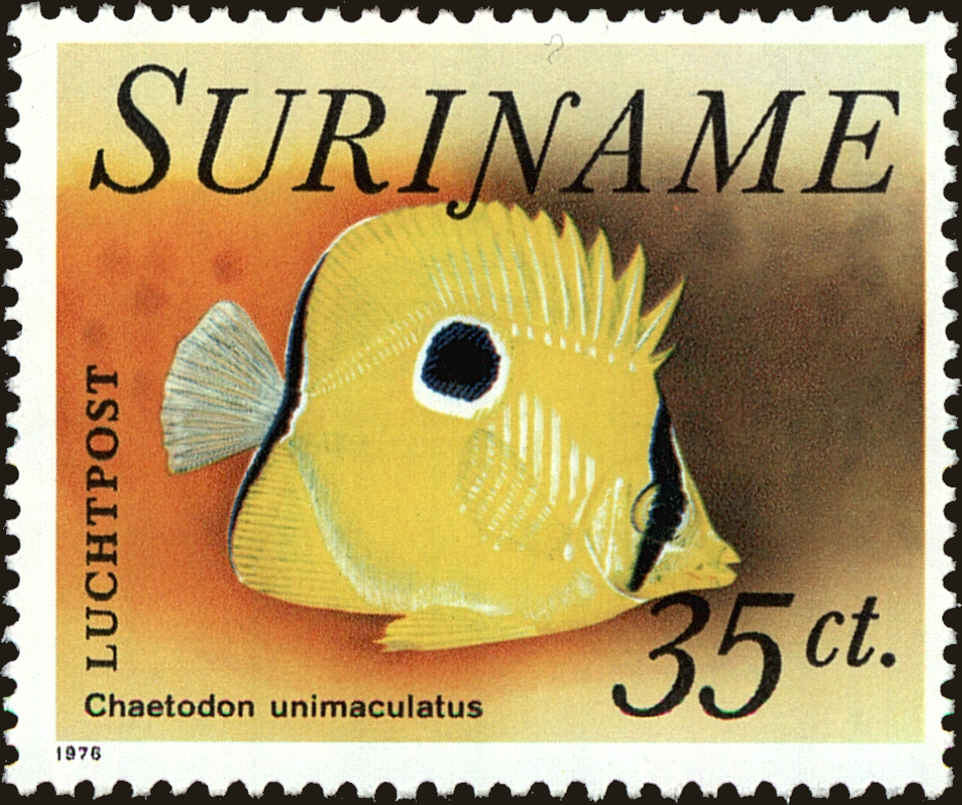 Front view of Surinam C55 collectors stamp