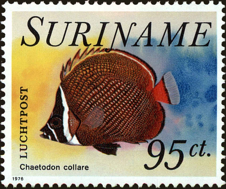 Front view of Surinam C57 collectors stamp