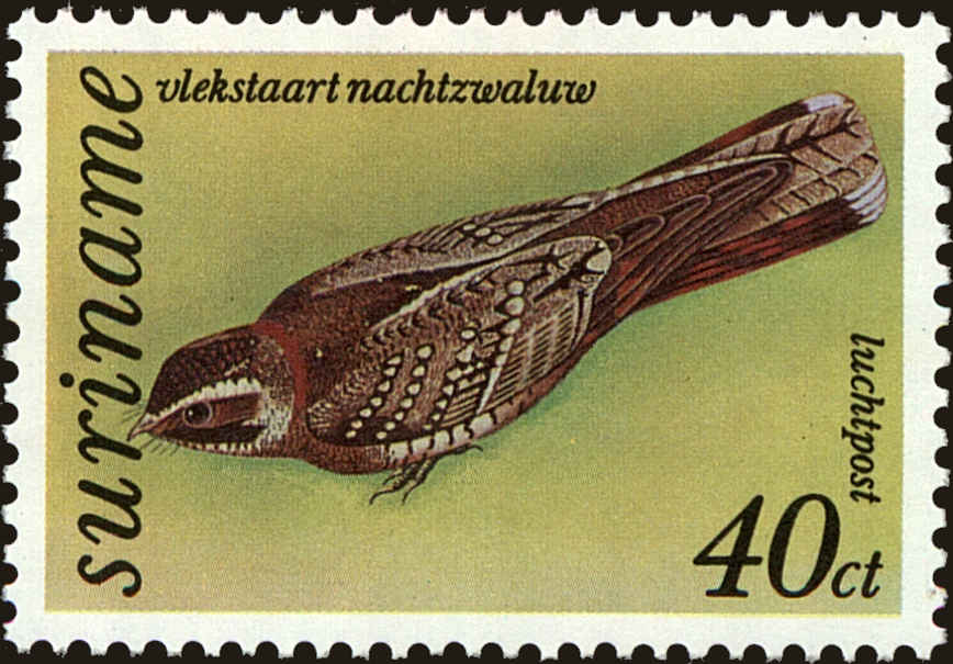 Front view of Surinam C61 collectors stamp