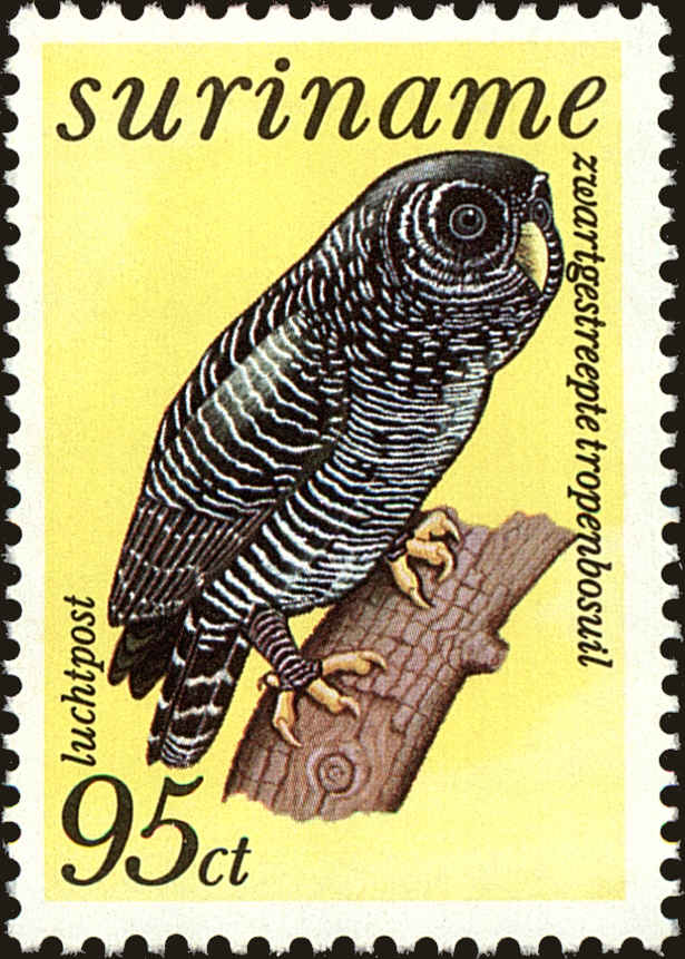 Front view of Surinam C71 collectors stamp