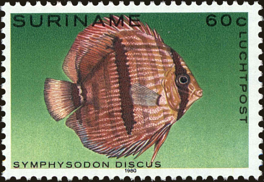Front view of Surinam C92 collectors stamp