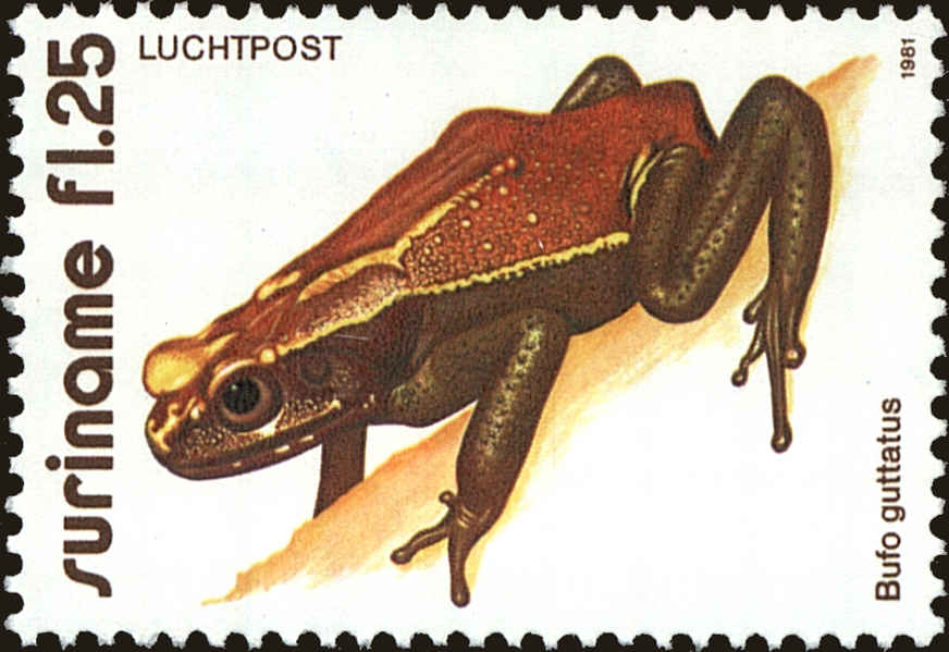 Front view of Surinam C97 collectors stamp