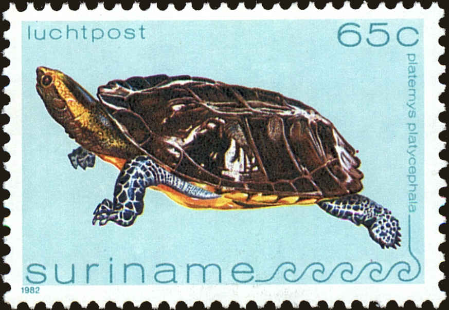 Front view of Surinam C98 collectors stamp