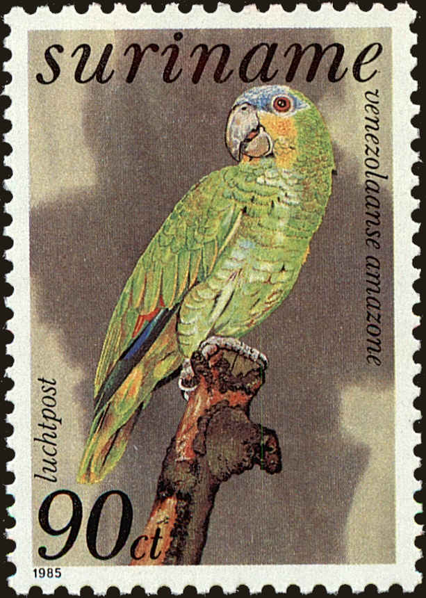 Front view of Surinam C101 collectors stamp