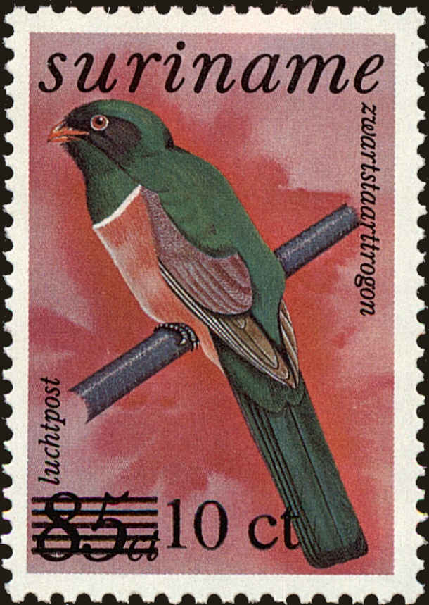 Front view of Surinam C103 collectors stamp