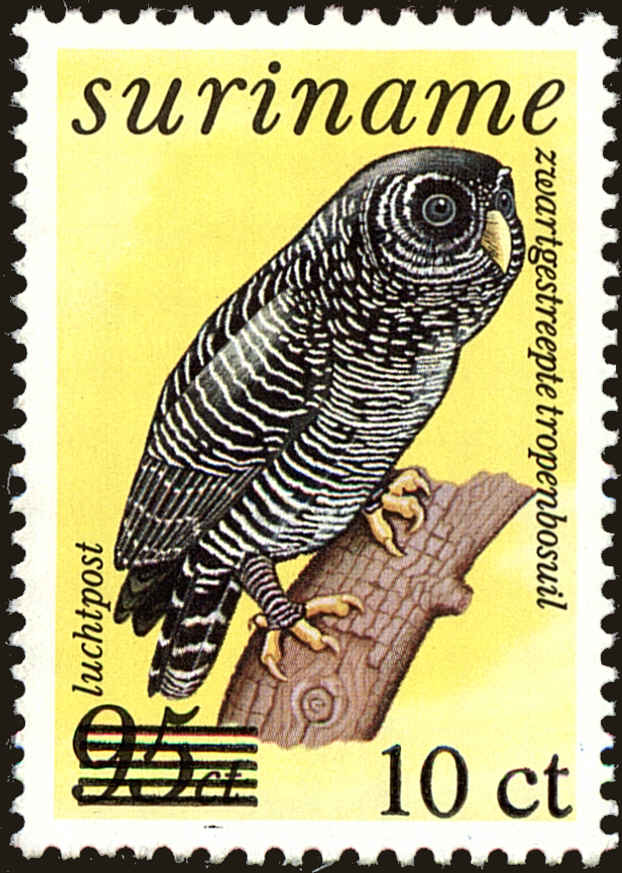 Front view of Surinam C104 collectors stamp