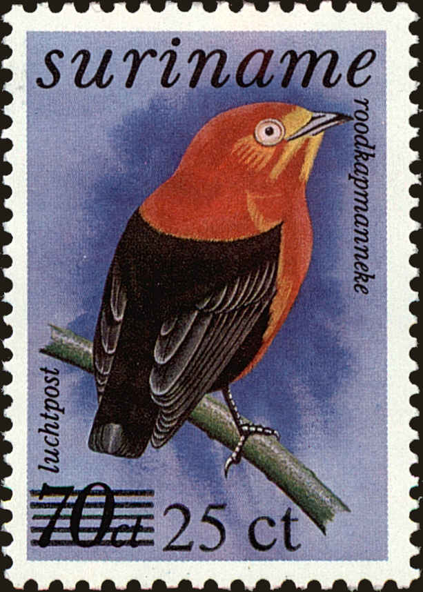 Front view of Surinam C105 collectors stamp