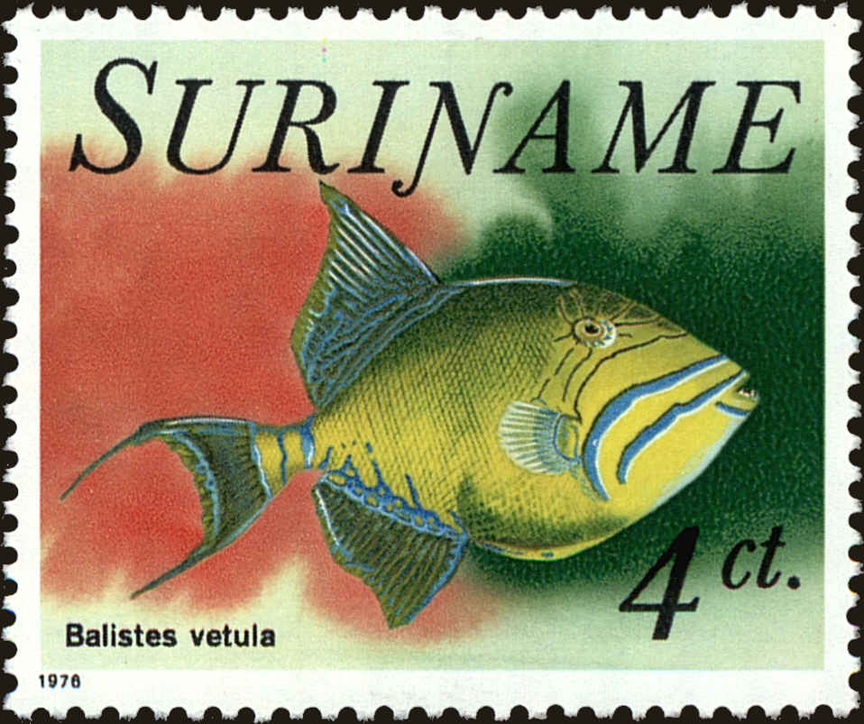 Front view of Surinam 450 collectors stamp