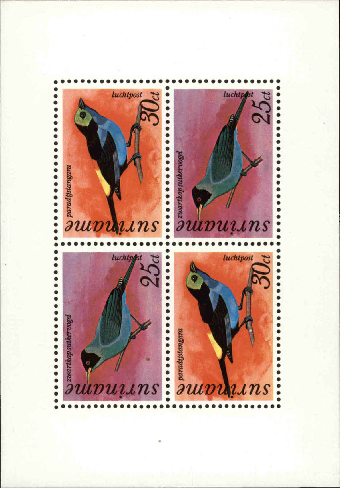 Front view of Surinam C60a collectors stamp