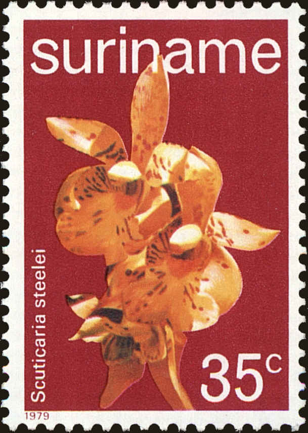 Front view of Surinam 522 collectors stamp
