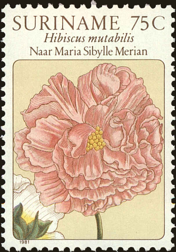 Front view of Surinam 566 collectors stamp