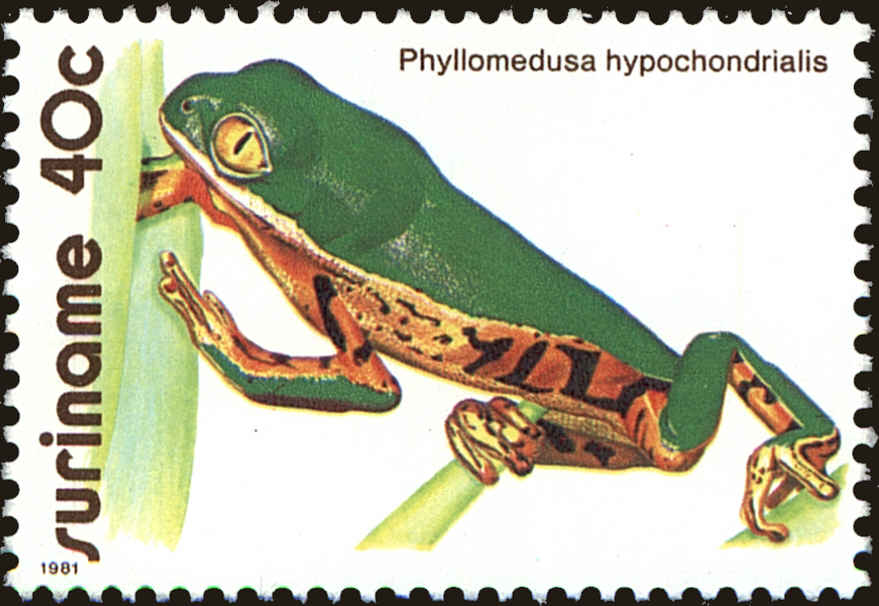 Front view of Surinam 574 collectors stamp