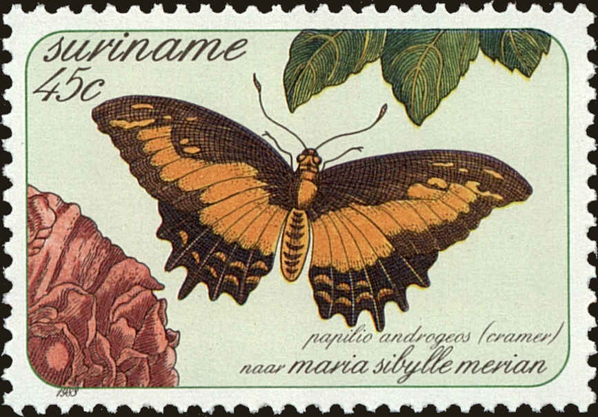 Front view of Surinam 653 collectors stamp
