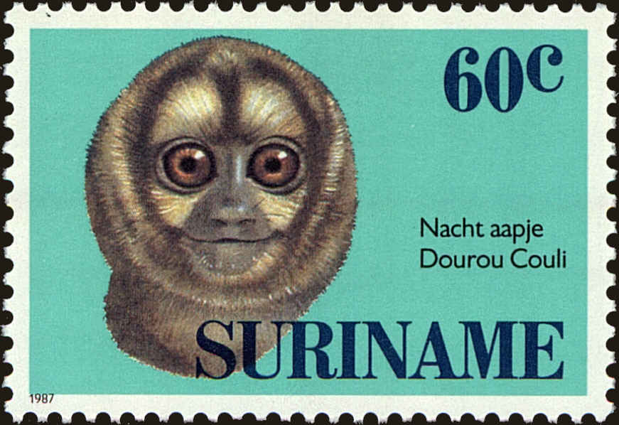 Front view of Surinam 756 collectors stamp
