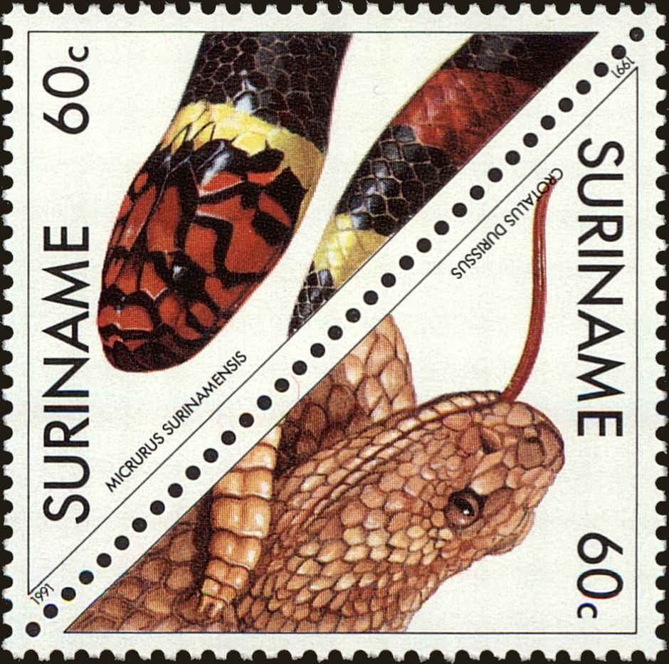 Front view of Surinam 905a collectors stamp