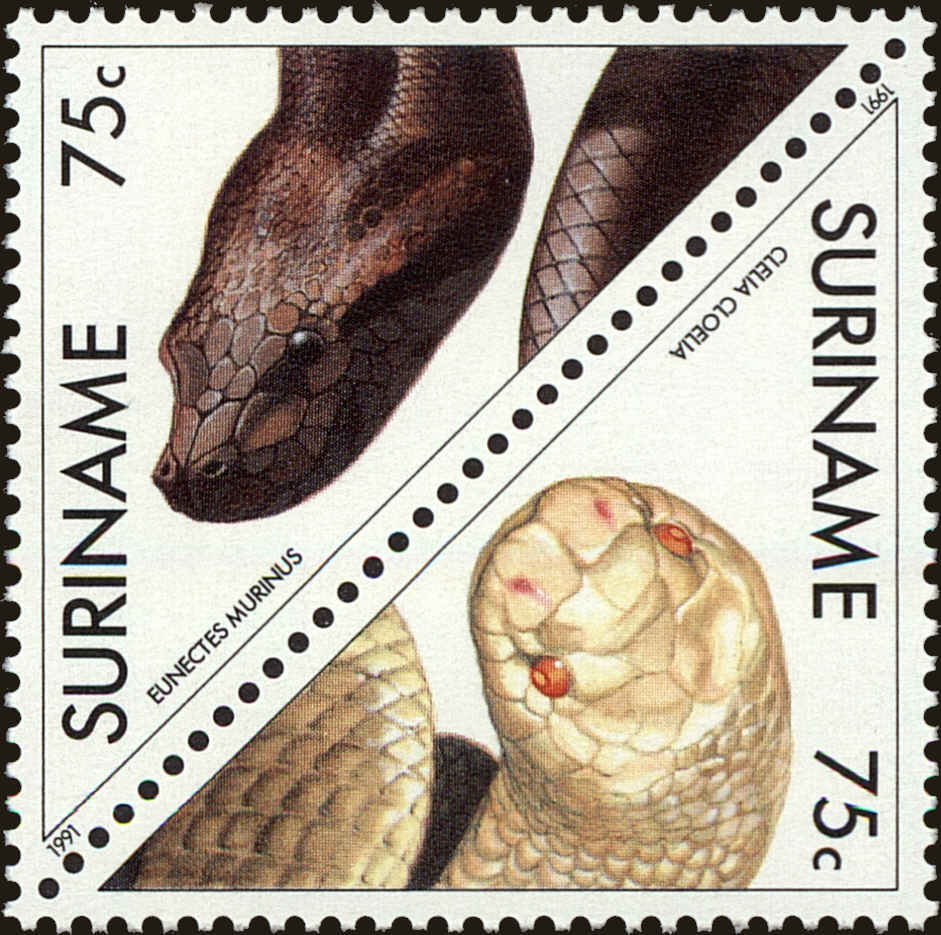 Front view of Surinam 907a collectors stamp